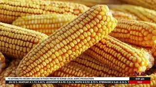 FG Reaffirms Safety of Genetically Modified Seeds in Nigeria