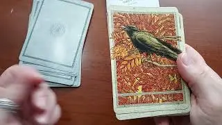 Flipthrough Review of Anieth Nature Tarot Deck by A. R. Stone