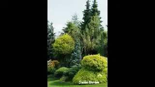 Sasha Garden Design  