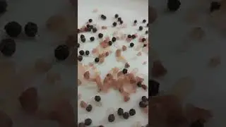 ASMR sounds of Himalayan pink salt and pepper #betashorts #shortvedio #best #satisfying #india