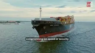 DHL Shipping Hacks to Save You Money Today