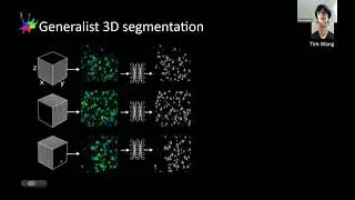 1st webinar | C. Stringer: Analitical and functional algorithms for cellular segmentation