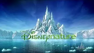 Disney Nature Channel | November 2015 | WDW Resort TV