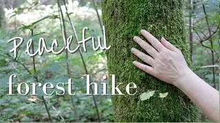 SLOW WALKING IN NATURE/ Slow living - Silent vlog / Forest hike vlog / Forest hike ASMR
