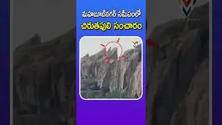 Leopard Spotted Again Near Mahabubnagar | Fear Grips Veerannapet Locals | Vayu News
