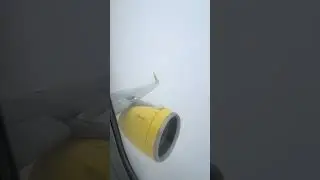Spirit Airlines A321 Neo Landing in Boston Logan airport 