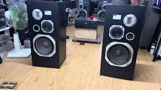 Loa pioneer Y7