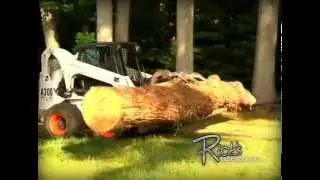 Oxford Pa Tree Service
