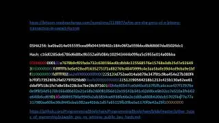 TapRoot BTC tem Seguran&ccedil;a Menor que Scripts do Tipo P2PKH