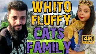 Как ухаживать за кошками зимой⁉️👀😱😱😱