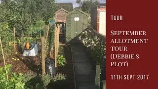 September Allotment Tour (Debbie's Plot)