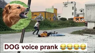 dog voice prank village || 😂😂😂village prank video || 100M viewed : Dog voice prank.!🦮🐕&zwj;🦺🐩🦴🐶🐾