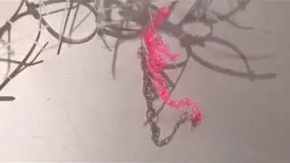 Bionic Garden