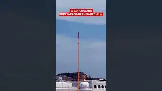GURUDWARA TARANTARAN SAHEB JI #shorts #shortsfeed #viralvideo #shortsvideo #sikh @Depth-PS
