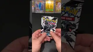 What's Inside These Two Packs?  Black Bolt vs. White Flare! #pok&eacute;mon #cardpulls