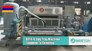 Beston Automatic Egg Tray Machine to Armenia | 2500PCS/H