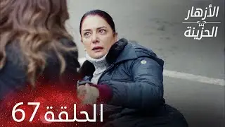 الأزهار الحزينة | الحلقة 67 كاملة | Kırgın Çiçekler