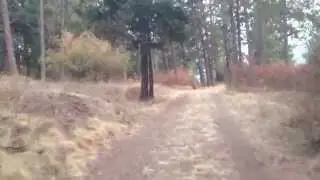 Riding Up the trail at English Point
