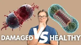 Fix Your Damaged Mitochondria to Reverse Disease