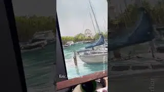 Wilmette Serenity: Capturing the harbor doing plein air, where light meets tranquil landscapes.