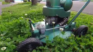 Victa 18 Special Afternoon Clover grass cutting. Vintage Victa 2 Stroke Lawn Mower