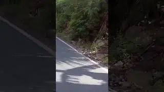 POGI PROBLEM NG POGING MOTOR!!! WITH HONDA PCX 160