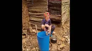 Single Mom Hunts Wild Potatoes in the Forest | Cooking & Bathing Kids Off Grid