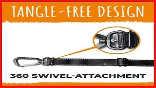Bon produit -  Ceinture de s&eacute;curit&eacute; pour chien Mighty Paw | Attache de ceinture de s&eacute;curit&eacute; pour chi