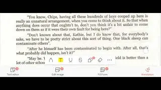 novel Good bye Mr .Chips chapter 7 translation meaning and  important points