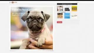 How to Add Quotes and Text to Pinterest Images | Pin Quotes to Pinterest Photos