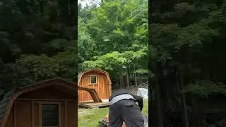 Shed Removal by Wyoming Valley Junk Removal in Dallas Pa