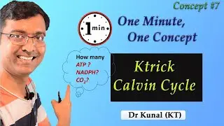Trick for Calvin cycle #shorts #Ktrick I NEET I Dr Kunal Tatte (KT)