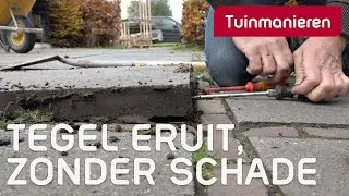 Hoe haal je een tegel uit je terras (zonder schade aan andere tegels)? Deel 1