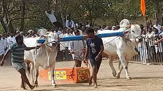 💥🌾అగడూరు గ్రామం న్యూ కేటగిరి విభాగానికి 3వ జత మంజుల వెంకట పూజిత గారు💥04-02-2026💥