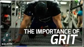The Importance of Grit