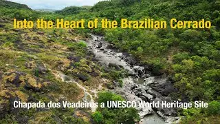 Into the Heart of the Brazilian Cerrado: Chapada dos Veadeiros a UNESCO World Heritage Site