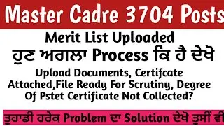 Master Cadre Merit || Upload Documents || Scrutiny Process & File  || Pstet Certifcate || Info