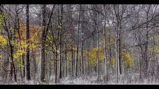 A Niagara on the Lake Winter