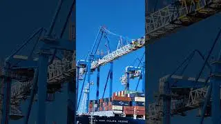 AIRPLANE AT THE SEAPORT | Life of a Seaman #seaman #lifeofseaman #maritime #airplane