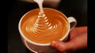Coffee Process #treetocup #Coffeeprocessing #sweetcoffee #parchment #farmtocup #coffeeroasting