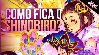 SHINOBIRD PÓS BANLIST CONTINUA FORTE DEMAIS! (Tier 1) | Gameplay explicativa - Yu-Gi-Oh! Duel Links