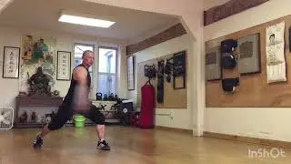 Choy lee fut Wu Dip Seng Dou蔡李佛蝴蝶双刀2