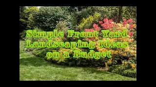 25 Simple Front Yard Landscaping Ideas on a Budget