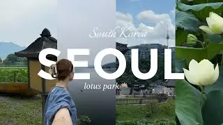 South Korea vlog #lifeinkorea парк лотосов и дворец Кёнбоккун 🇰🇷🪷