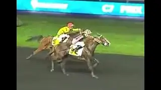 Papier visuel (vid&eacute;os) du Prix de Cornulier 2026 !