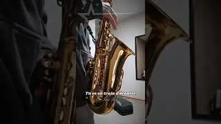 Tico Tico au saxophone ~ Le saxophoniste qui poste #saxophone #ticotico