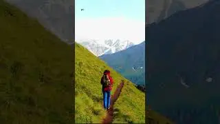 I Just Keep Walking #shortnature