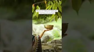 Explore the Singing Bowl Effect. Mind Clearing Sound. #serenity #relaxation #meditation