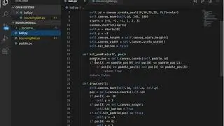 Python Small Game - Bouncing Ball with a paddle