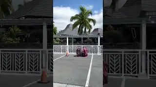 Hawaii big island Kona airport #hawaii #2022 #usa #bigisland #hashbrownoriginals